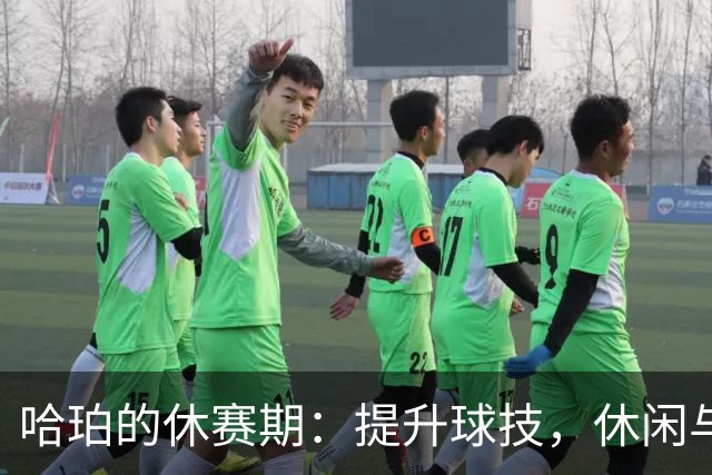 哈珀的休赛期：提升球技，休闲与挑战齐飞